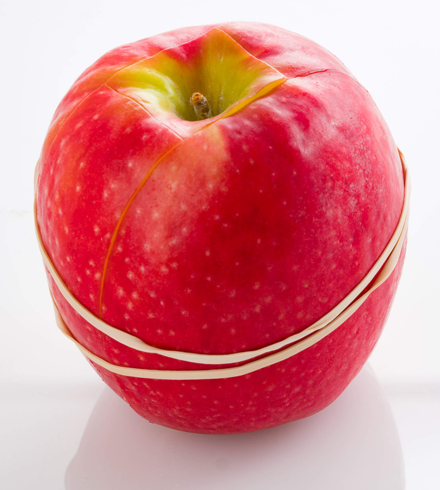 Fresh red apple with white rubber band on white background.