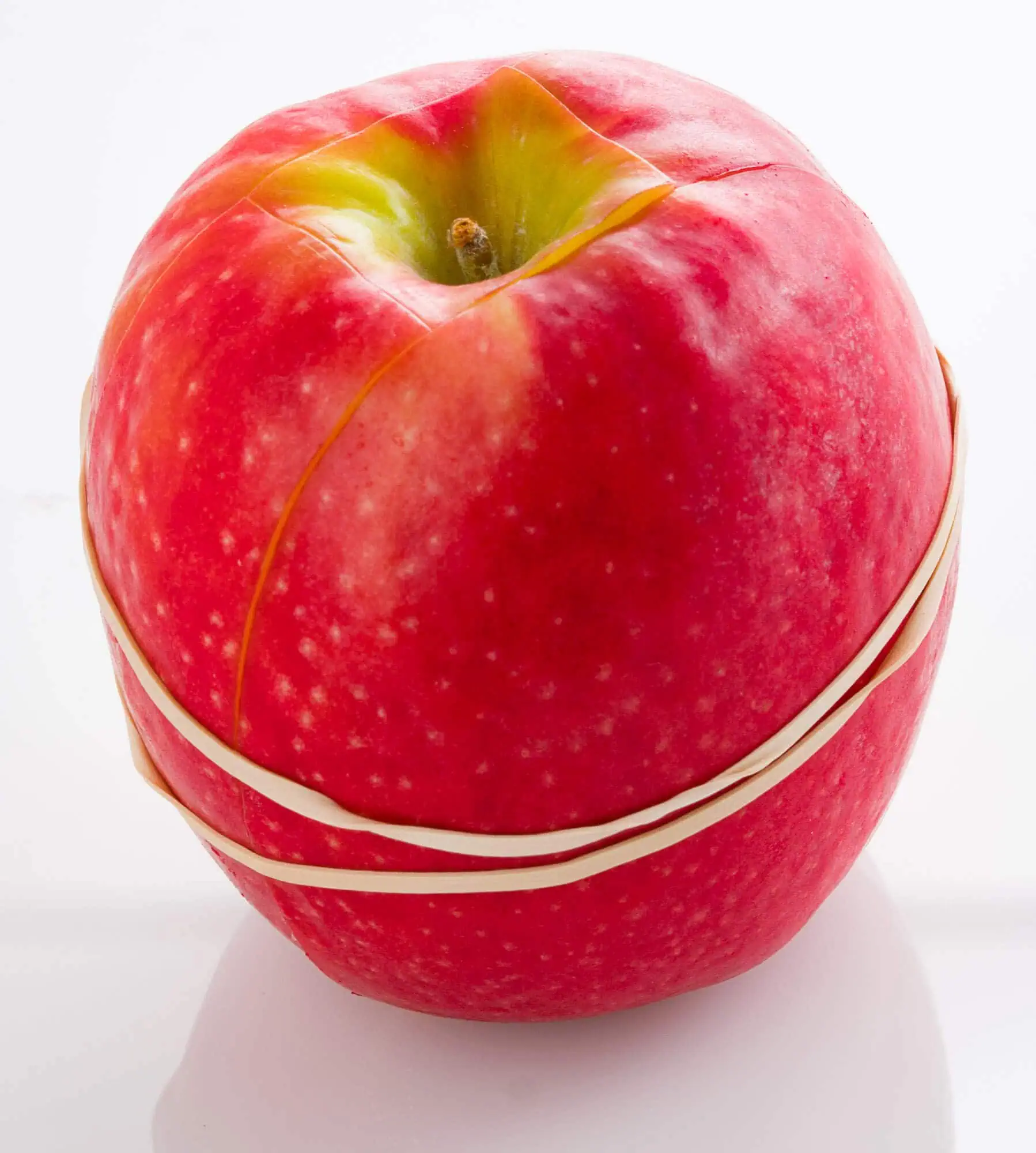 Fresh red apple with white rubber band on white background.