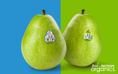 Two green d&rsquo;Anjou pears with barcode stickers on a split blue and green background.