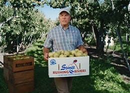 Farmer holding a box of Rushing Rivers&reg; Pears in an orchard.