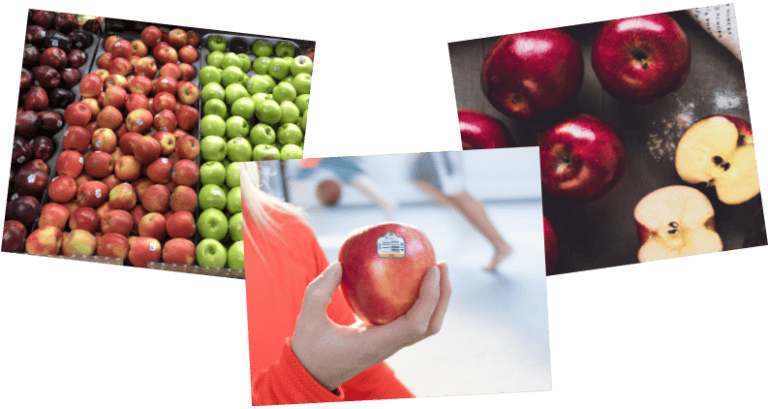 Discover the Flavor of World Famous Apples