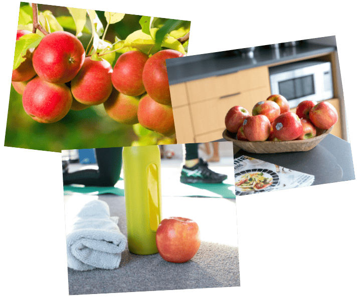 Fresh apples from Stemilt, showcasing their quality and flavor.