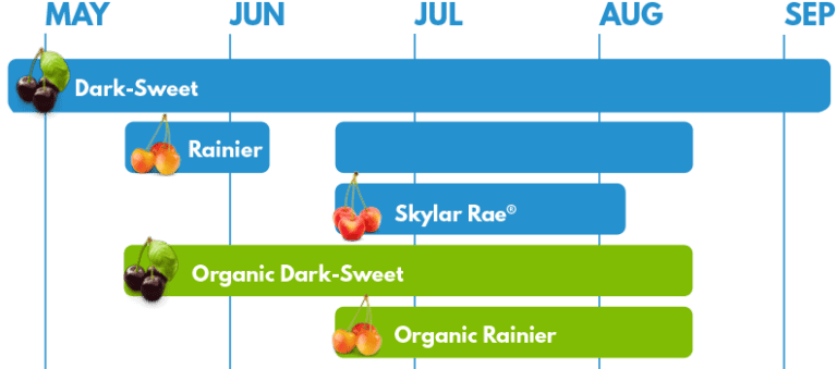 Chart showing different cherry varieties, including Dark-Sweet, Rainier, and Organic options.
