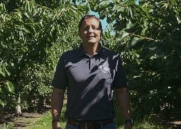 Man standing in an orchard with lush green trees and sunlight.