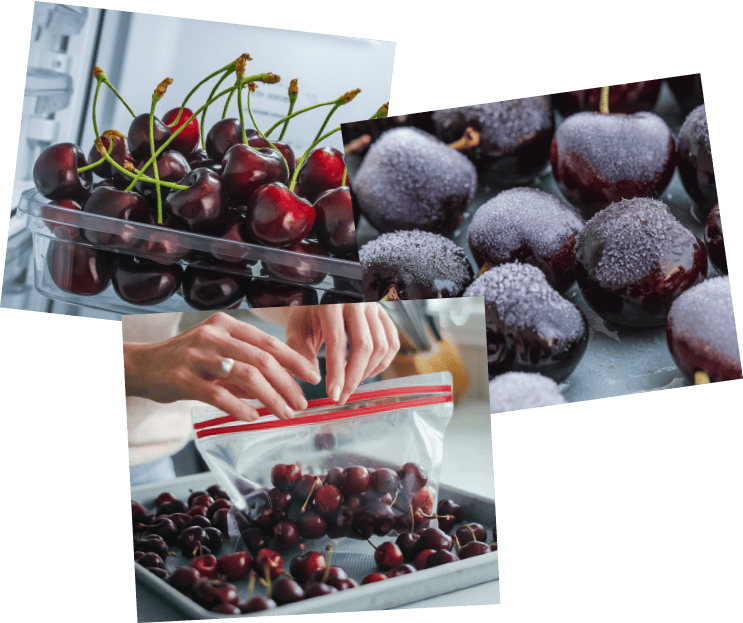 Taste the World Famous Cherries - Hand-Picked Delights
