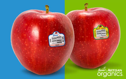 Two Gala apples with stickers on a split blue and green background.