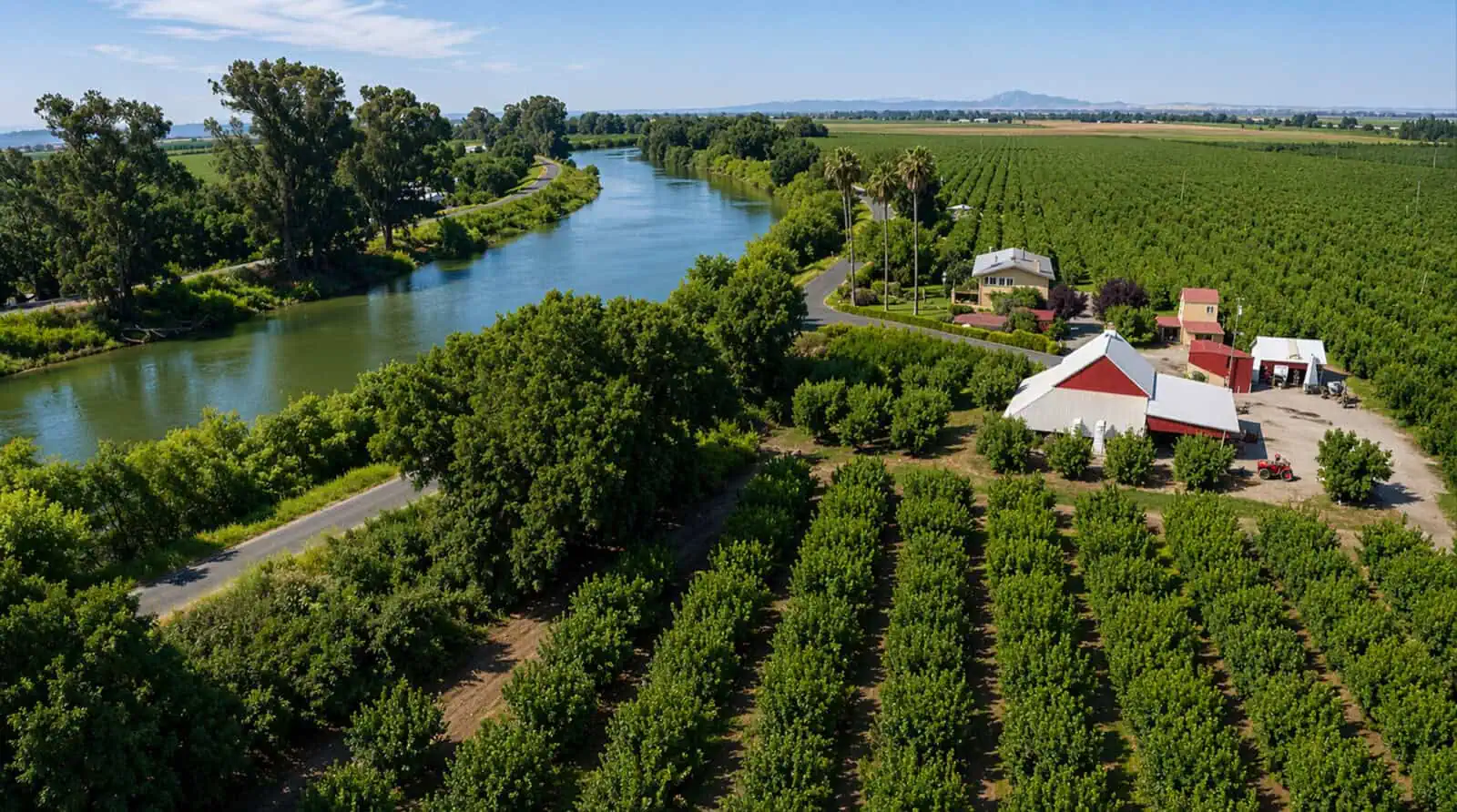 Aerial view of a lush cherry orchard near a winding river with farm buildings.
