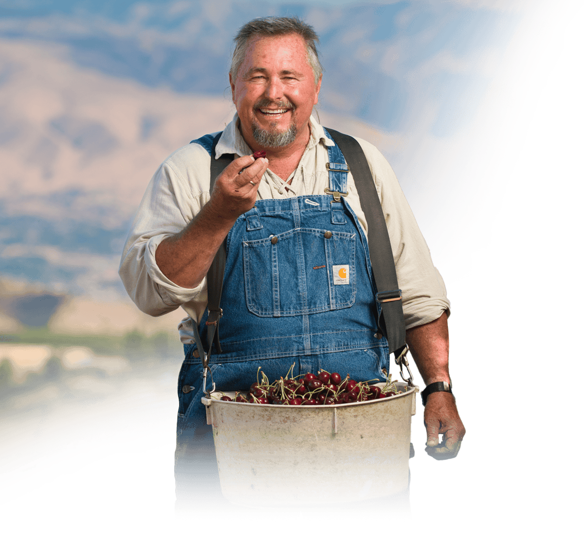 Farmer holding a cherry, standing outdoors with mountains in the background.