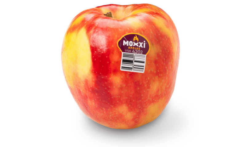 Moxxi® apple with Stemilt barcode sticker, ripe and colorful.
