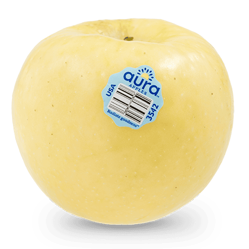 Fresh Aura® apple with sticker, yellow skin, on white background.