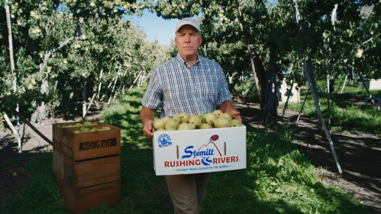 Farmer holding a box of Rushing Rivers&reg; pears in an orchard.