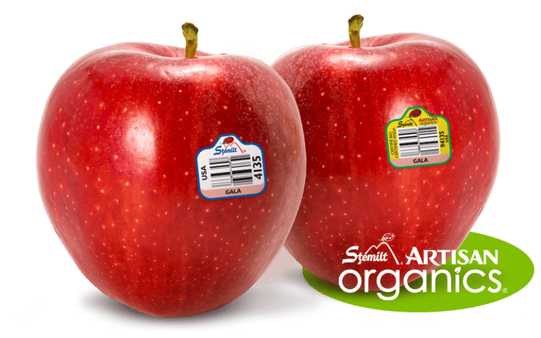 Fresh Gala apples with Stemilt Artisan Organics label for organic quality.