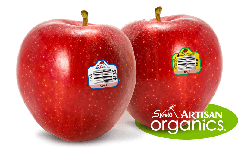 Fresh Gala apples with Stemilt Artisan Organics label for organic quality.