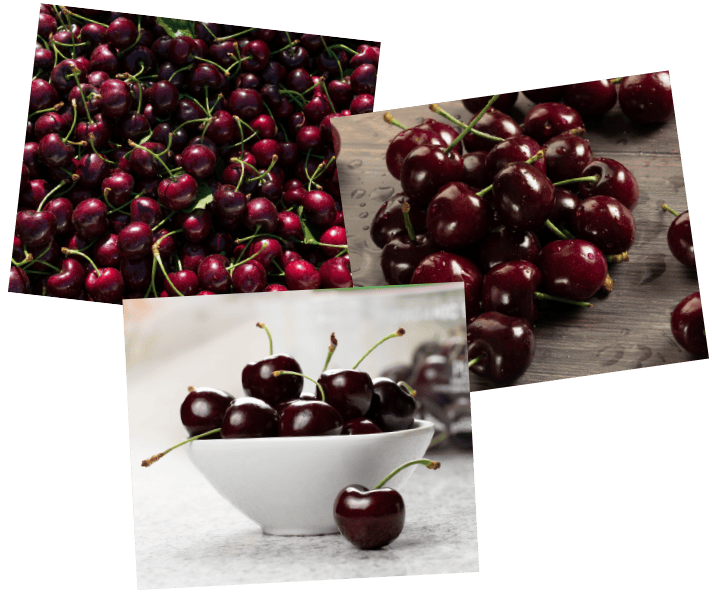 Fresh ripe cherries from Stemilt farm, perfect for snacking or baking.