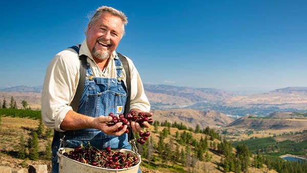 Farmer holding ripe cherries in a scenic orchard landscape.