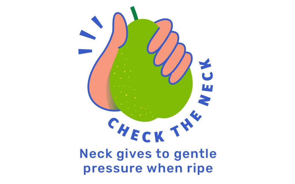 Hand holding a green fruit with a neck check message for ripeness.