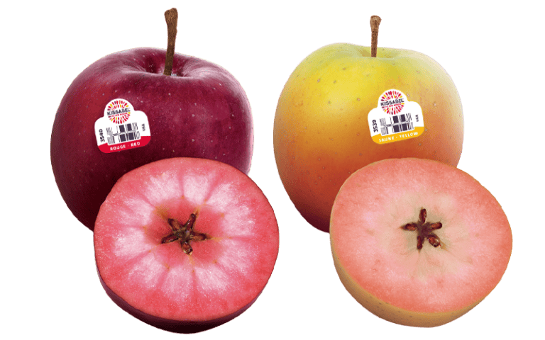 Fresh Kissabel® apples with vibrant red and yellow colors.