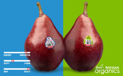 Two ripe organic pears with barcode stickers on a split blue and green background.
