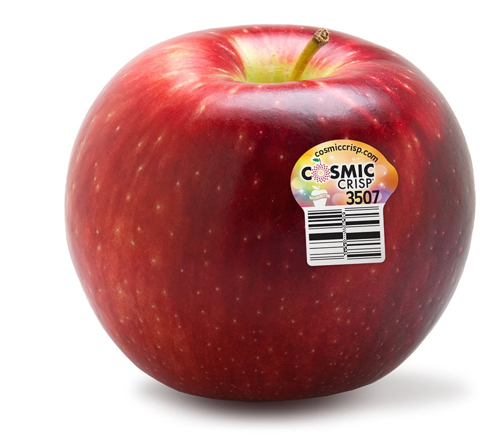 Fresh Cosmic Crisp&reg; apple with sticker, vibrant red color and smooth skin.
